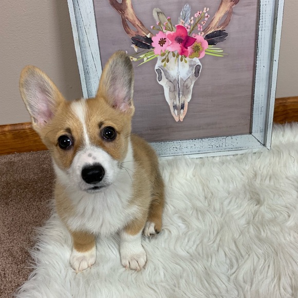 hey, I’m meg!🌸 - Picture 2 of 4